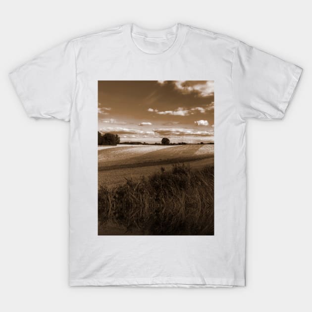 Splendid scenic sepia view of German farmland of Schleswig-Holstein T-Shirt by Khala